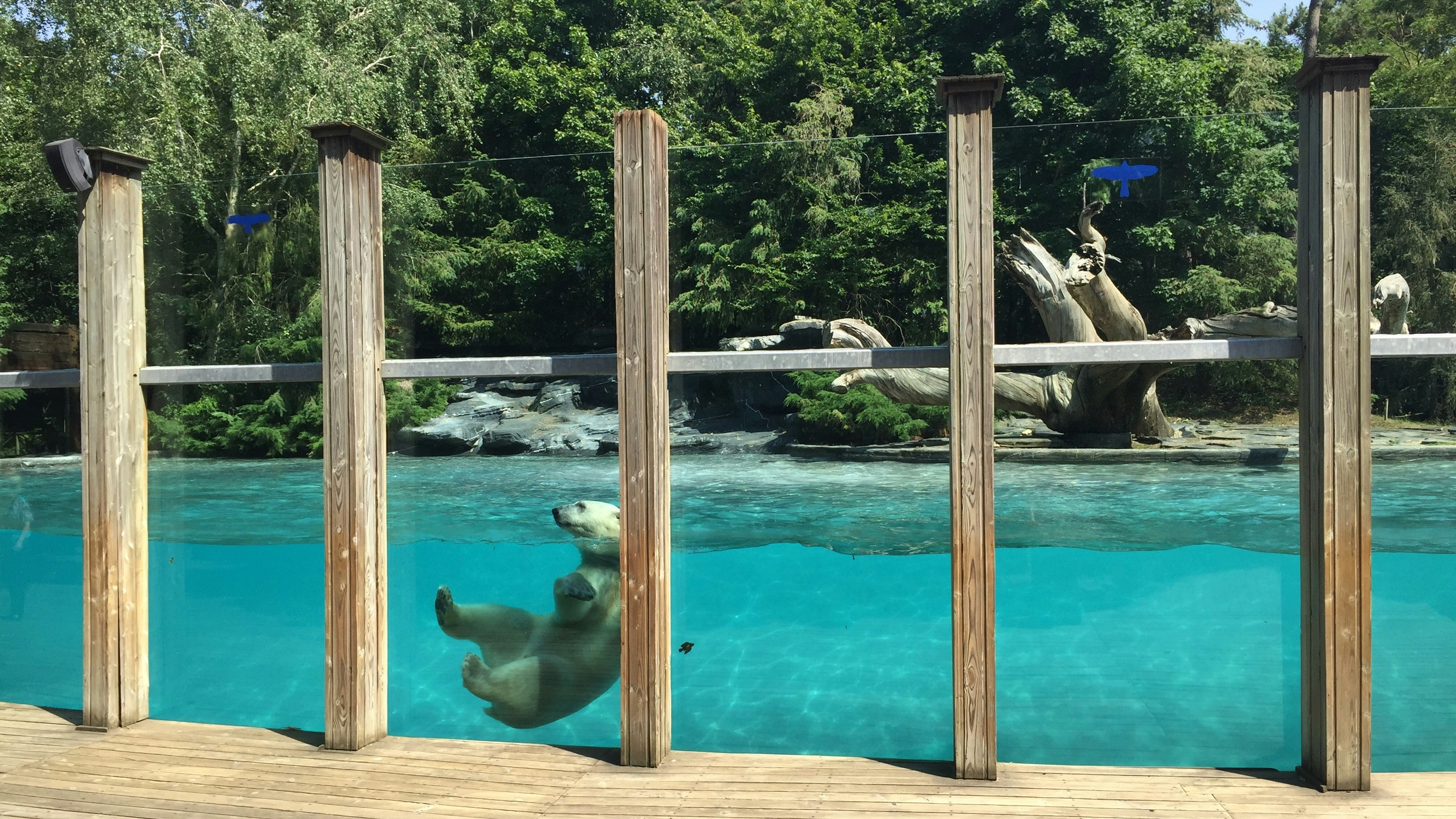 Free Unsplash photo from Elvis Konkilov