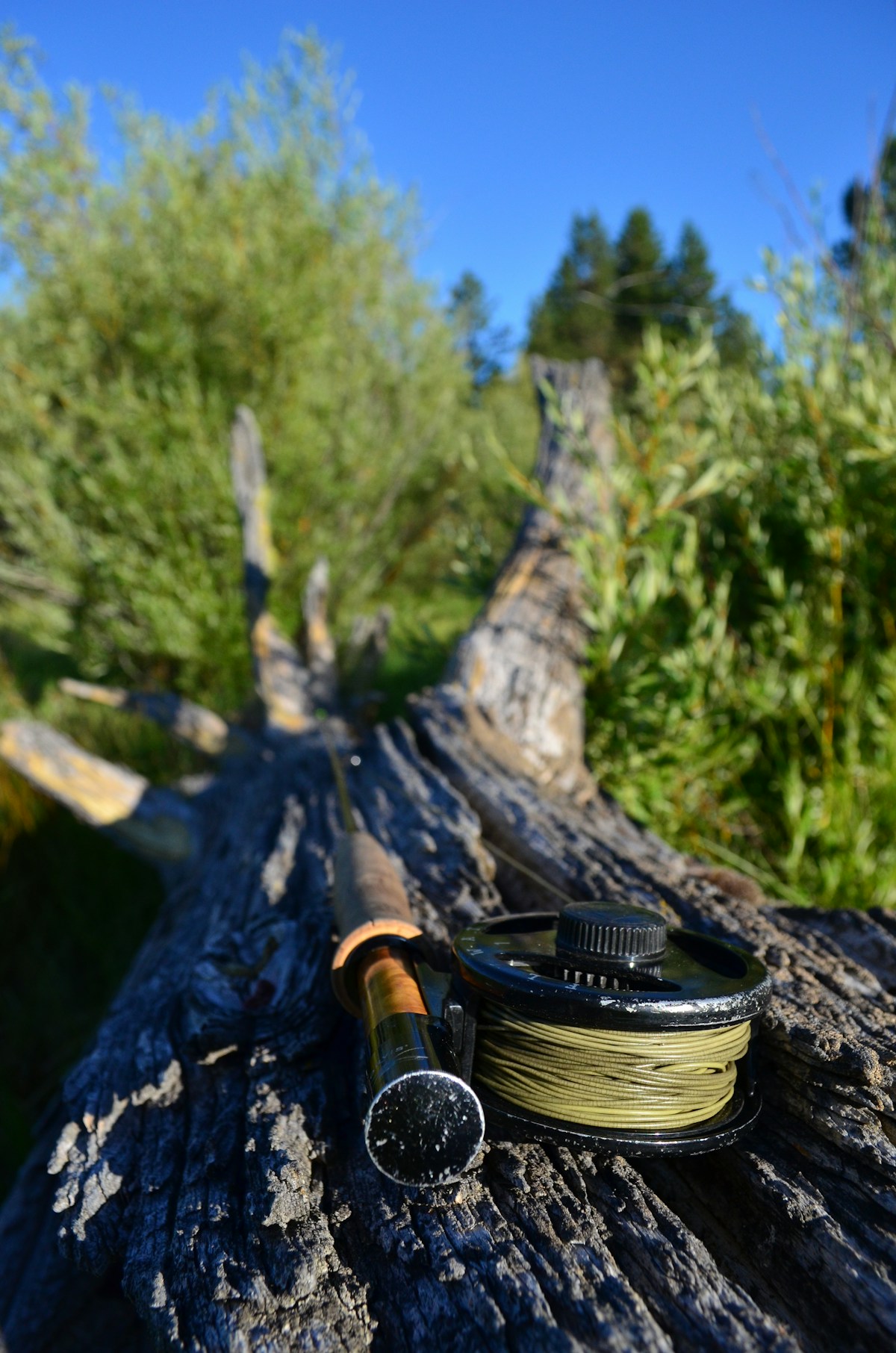 Deschutes River: Old Mill to Drake Park Loop