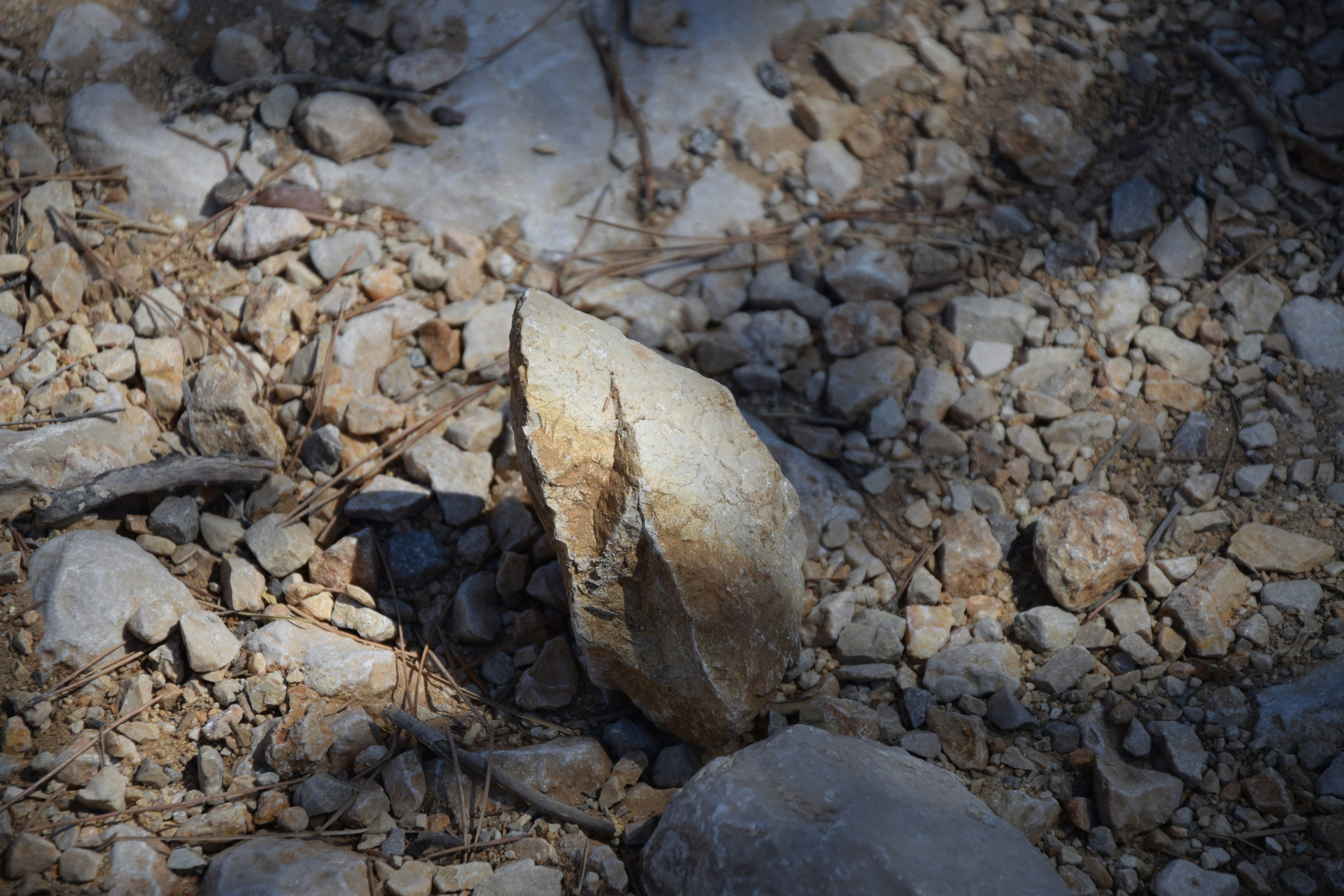 Free Unsplash photo from Sander de Vos