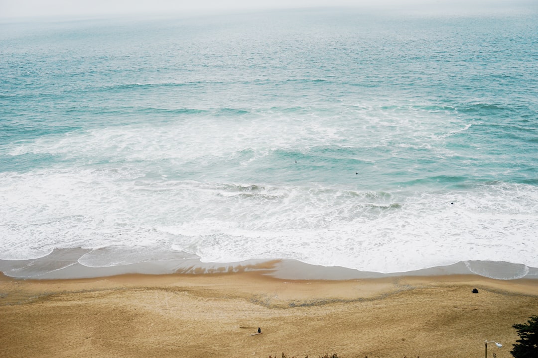 calm ocean at daytime