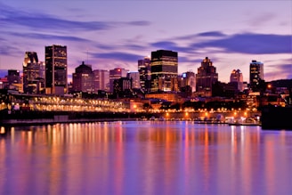 landscape photography of skyscrapers