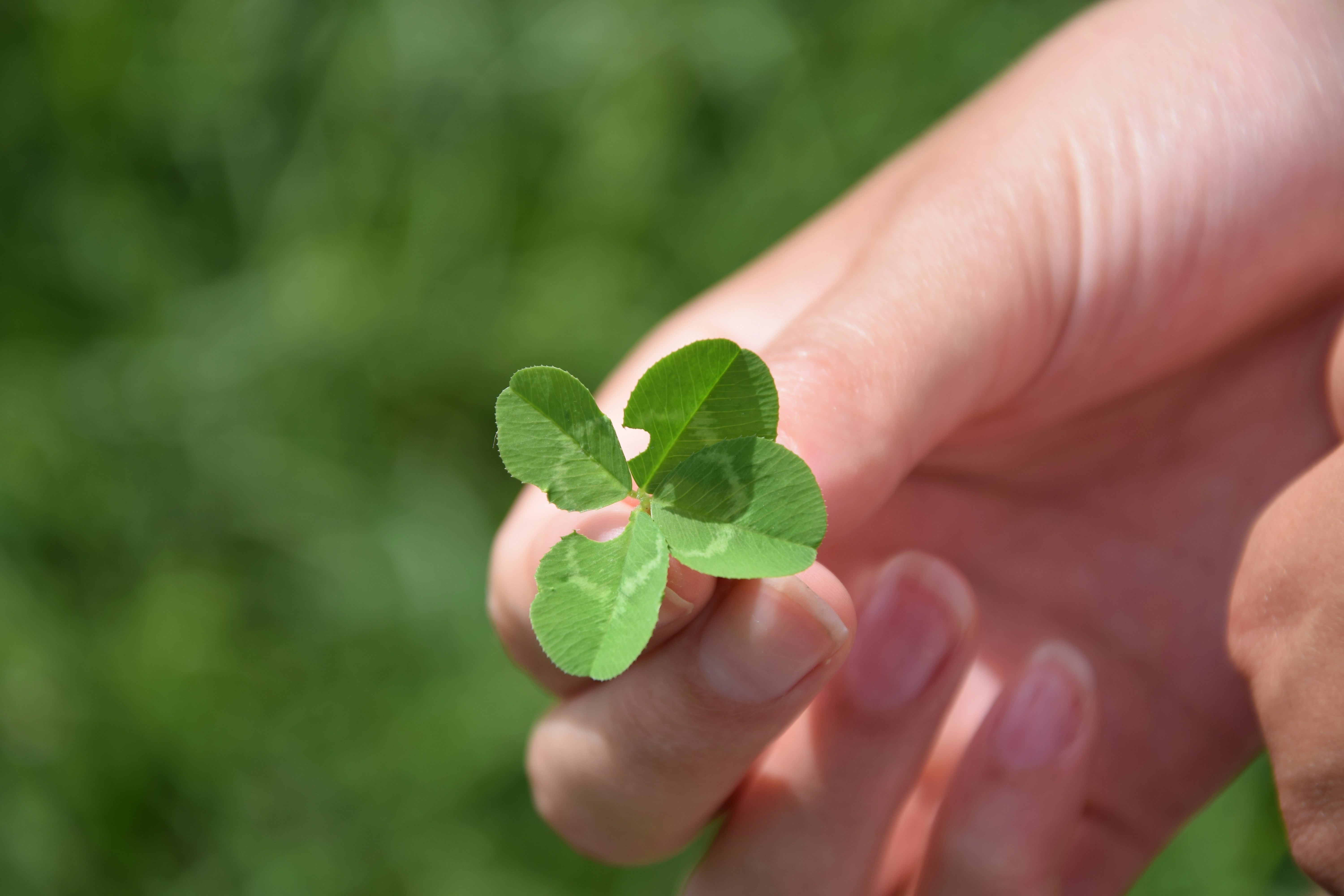 Free Unsplash photo from Sander de Vos