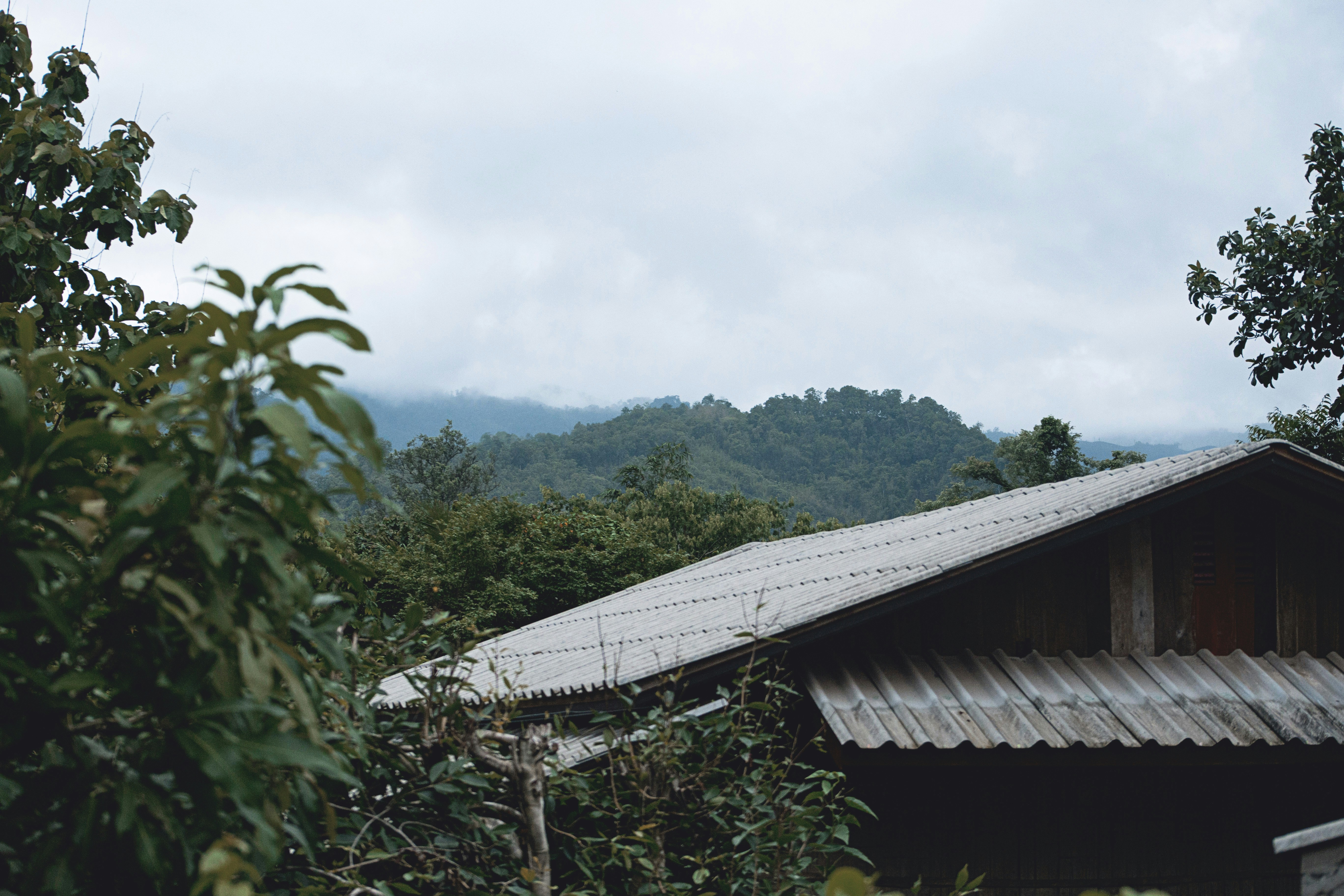 Free Unsplash photo from Peter Hershey