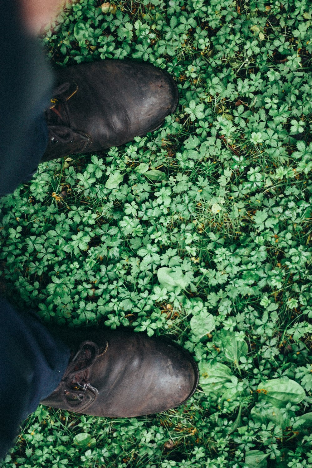 View of the grass from the first person perspective with the man's shoes and bottom of pants seen