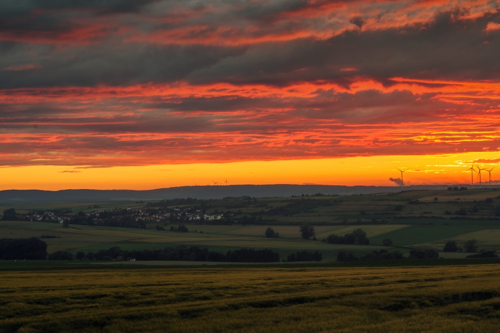 Grünes Grasfeld unter orangefarbenem Himmel