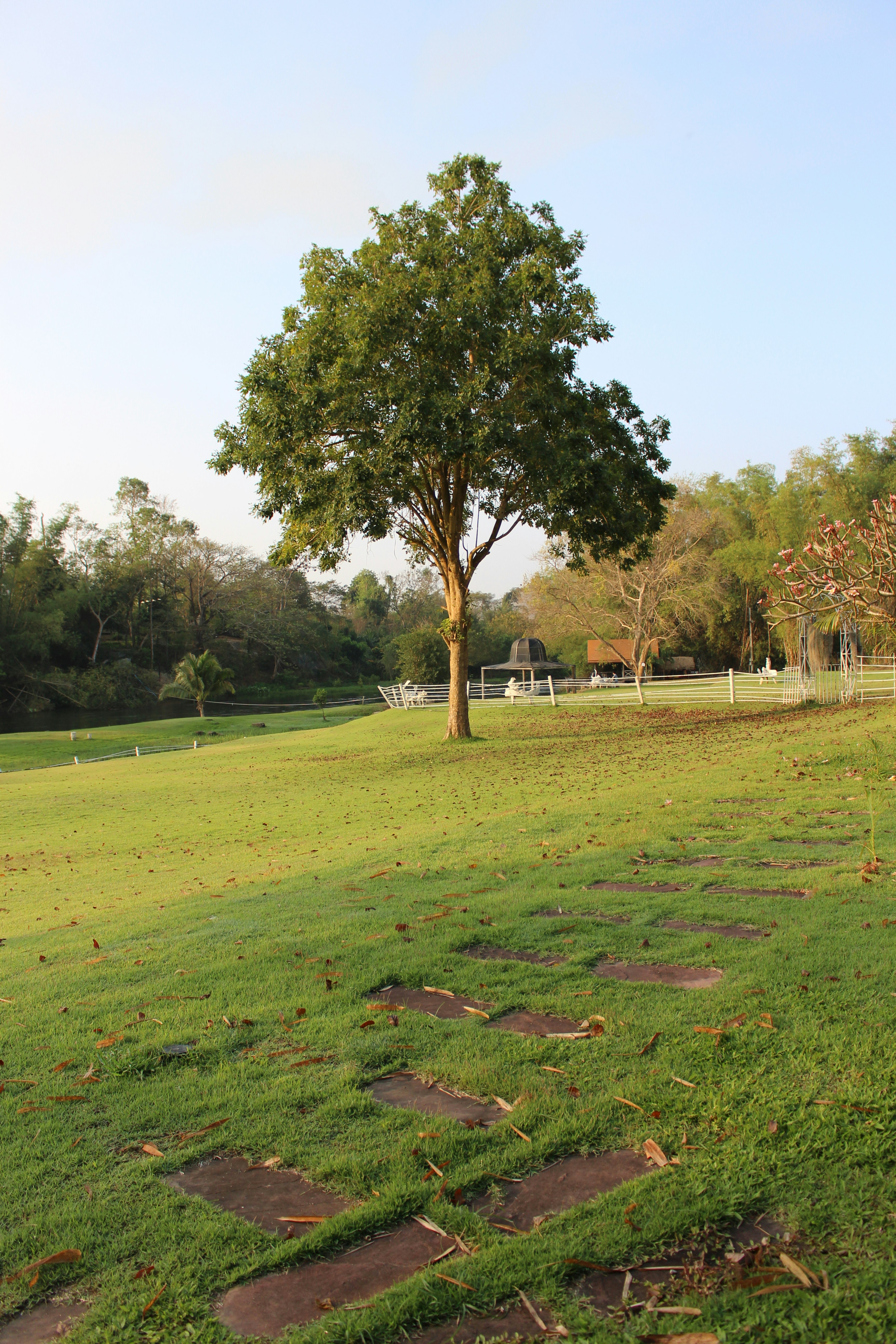 Free Unsplash photo from Kitti Namkorn