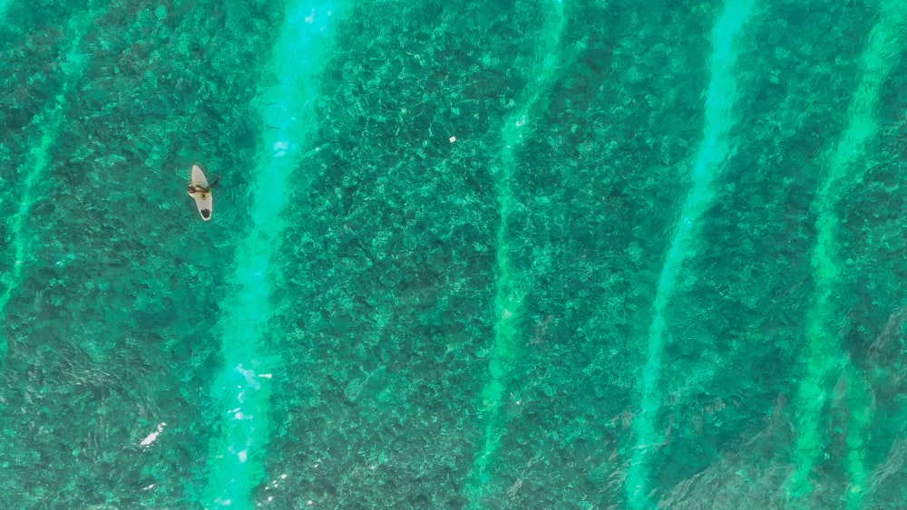 Vue de dessus d’un bateau blanc sur un plan d’eau pendant la journée