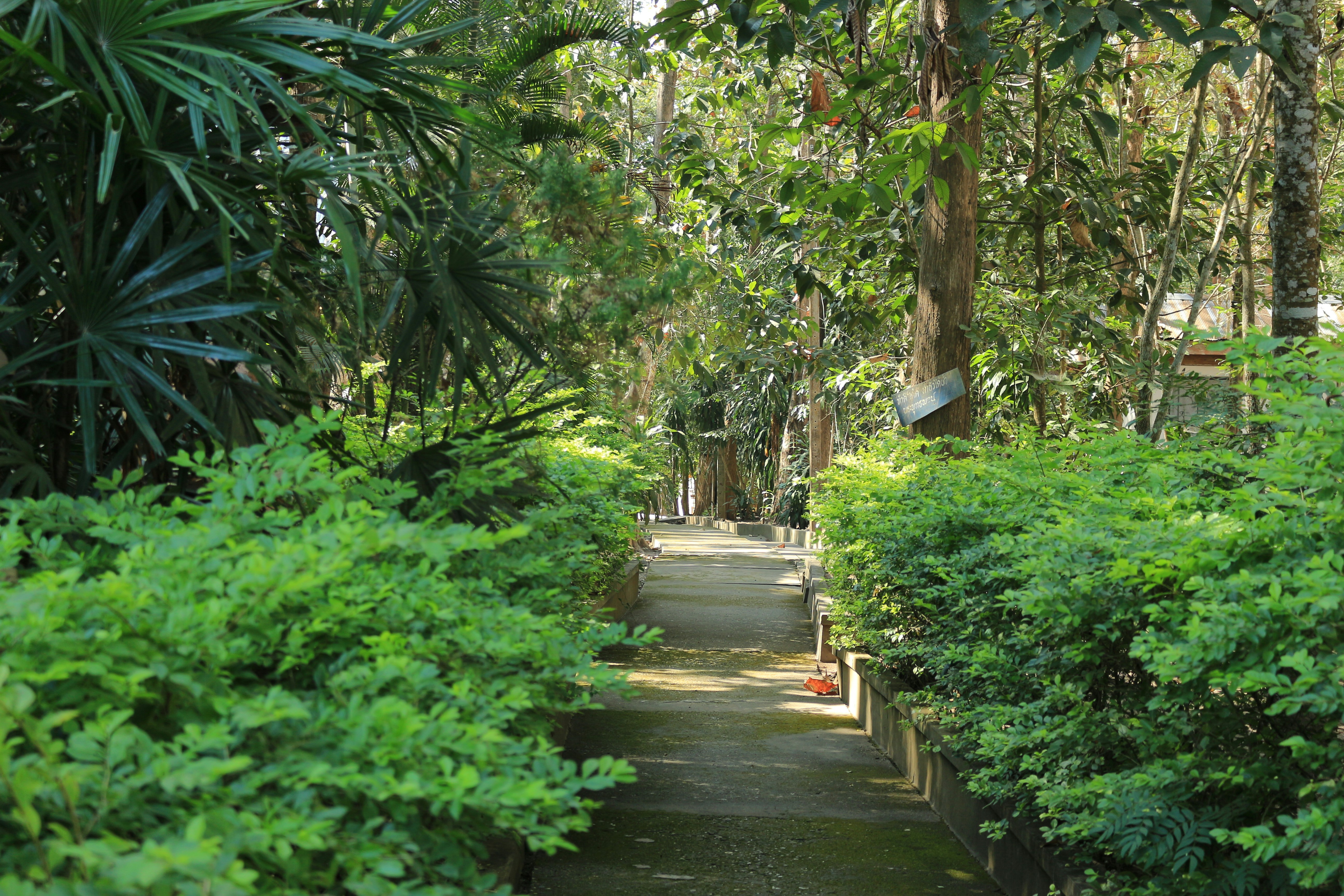 Free Unsplash photo from Kitti Namkorn