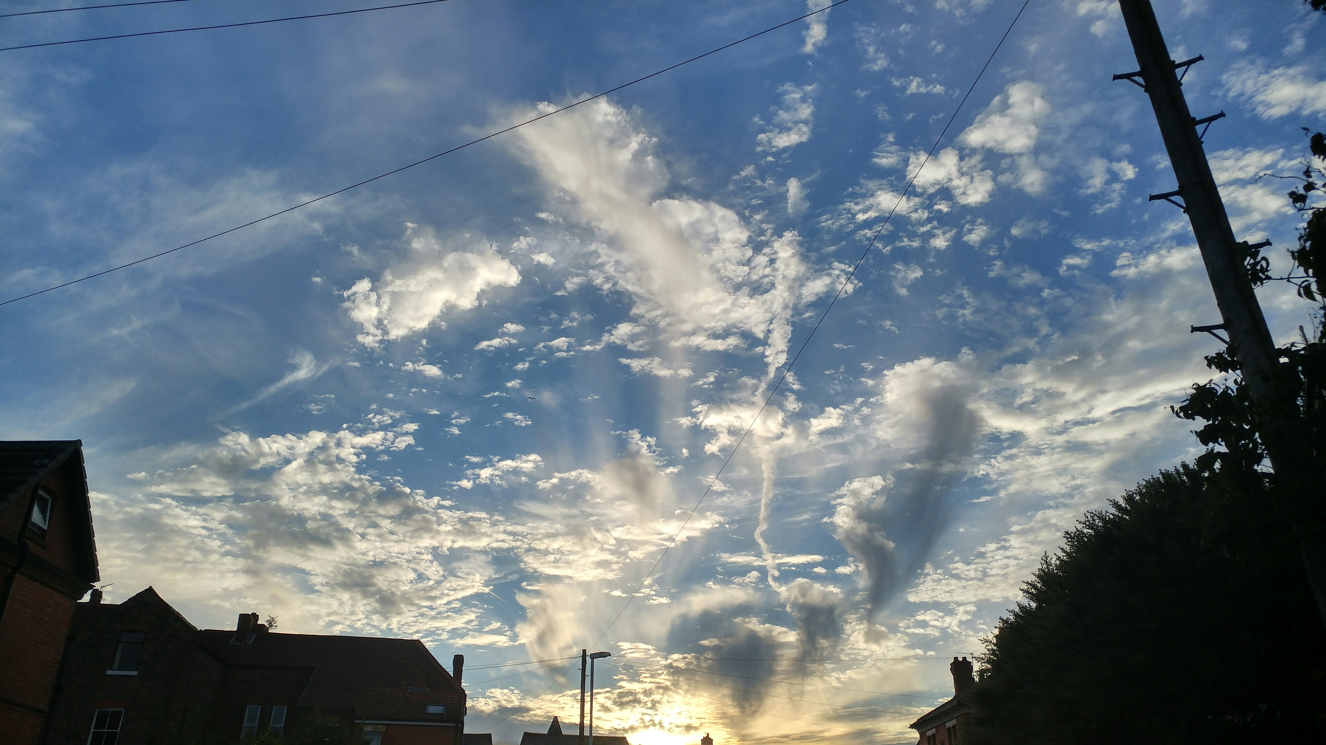 Free Unsplash photo from Jason Smith