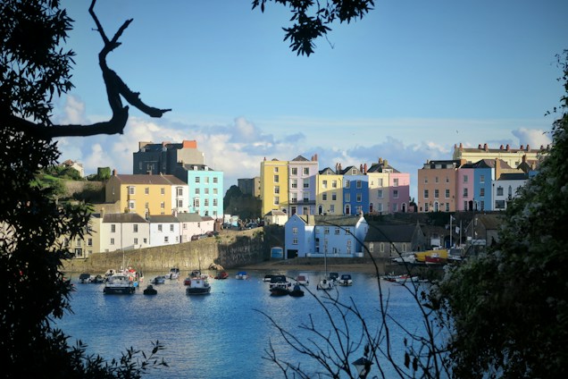 A picturesque harbor scene with colorful buildings lining the waterfront. The houses are painted in pastel shades of pink, blue, yellow, and white, adding a vibrant contrast to the serene blue water of the harbor. Small boats are docked along the shoreline, and the scene is framed by silhouetted tree branches in the foreground, creating a natural border.
