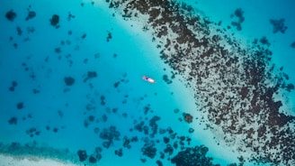 Aerial view of a single kayak surrounded by vibrant turquoise water with dark patches of coral or rocks visible below the surface.