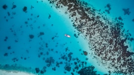 Aerial view of a single kayak surrounded by vibrant turquoise water with dark patches of coral or rocks visible below the surface.