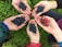 Five hands are gathered together, each holding blueberries and some also holding small red berries. The berries are round and vibrant, with the background consisting of green plants, creating a natural setting.