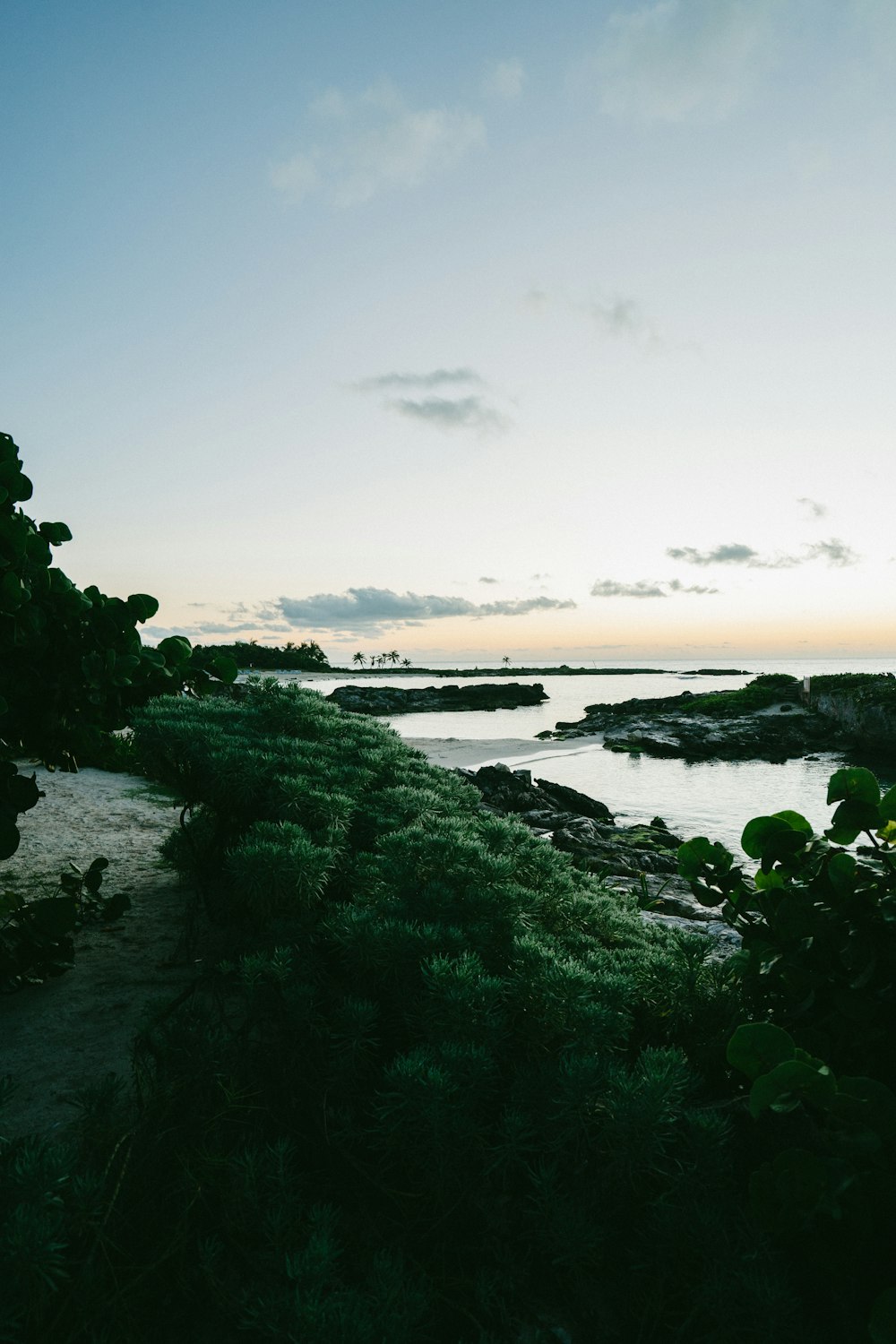 sea side during sunset