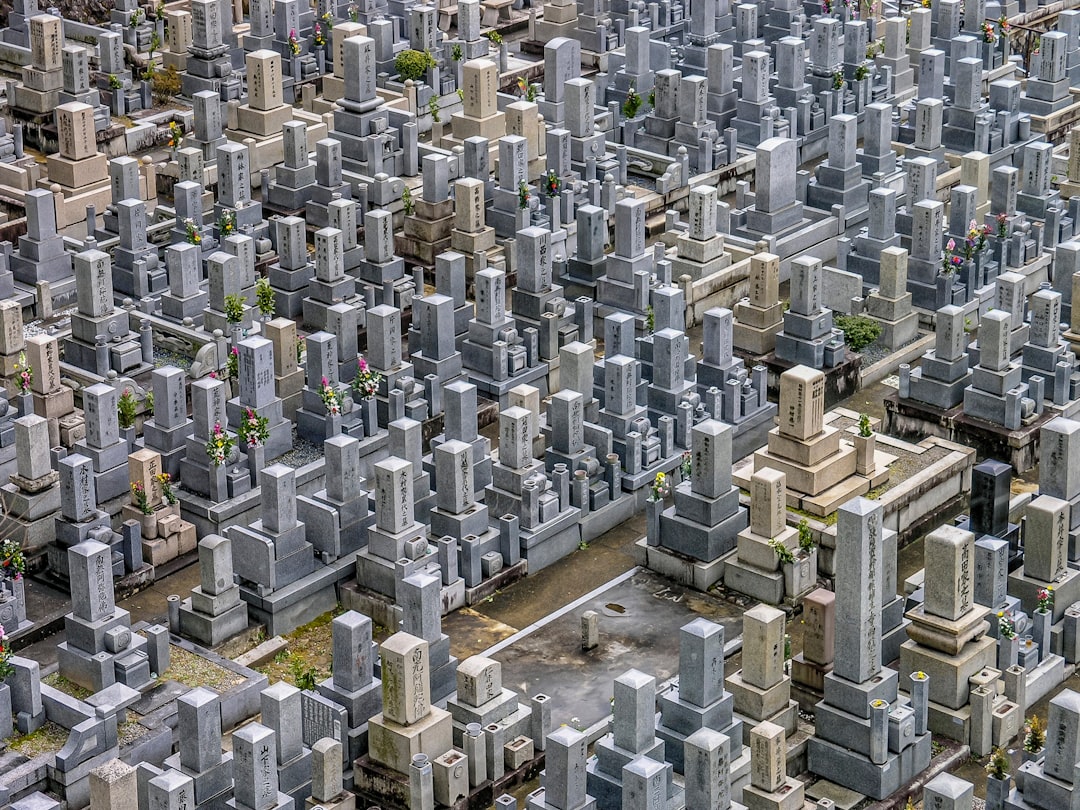 aerial photo of gray and white concrete monuments at daytime,