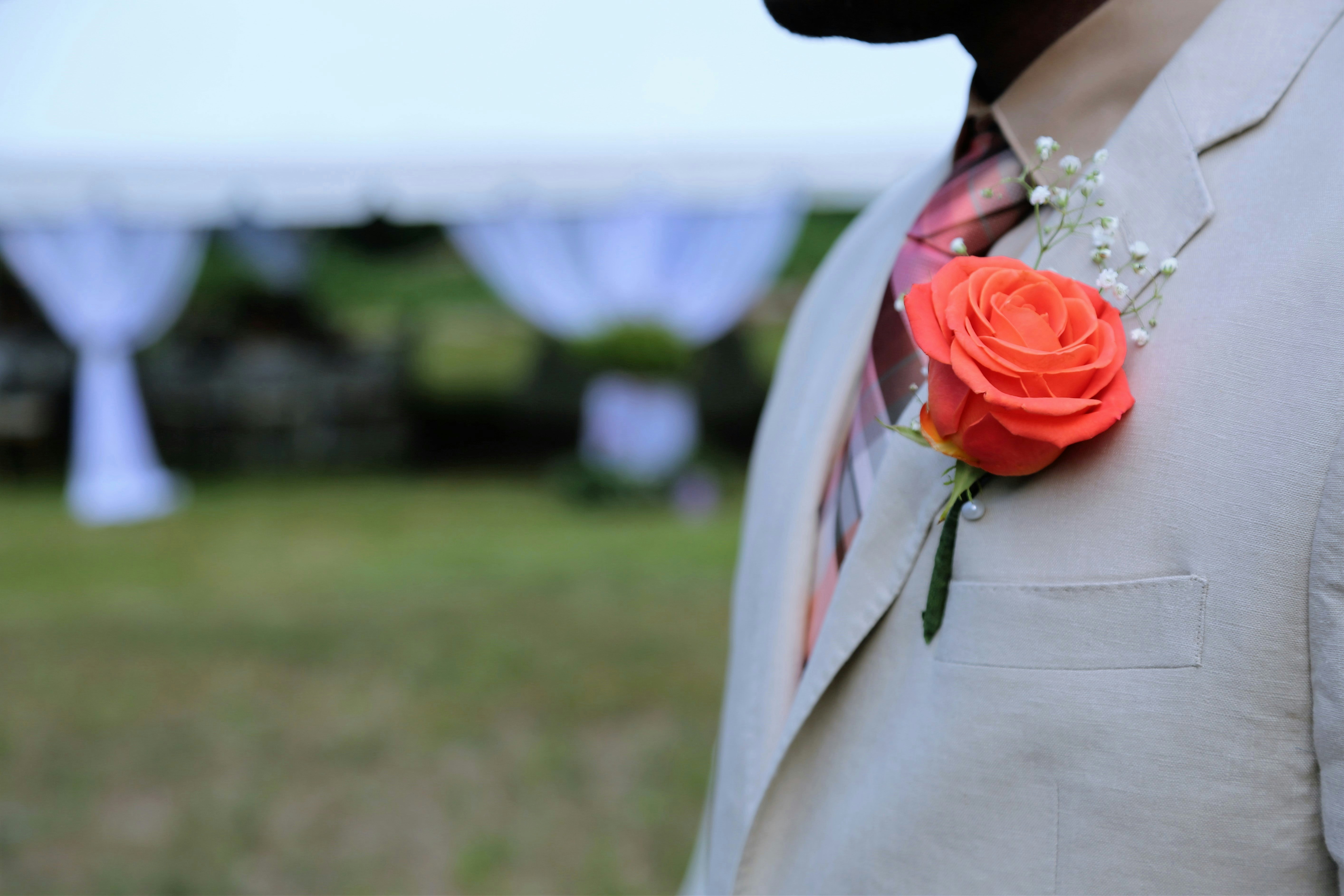 Free Unsplash photo from Fenner Pierre Gilles