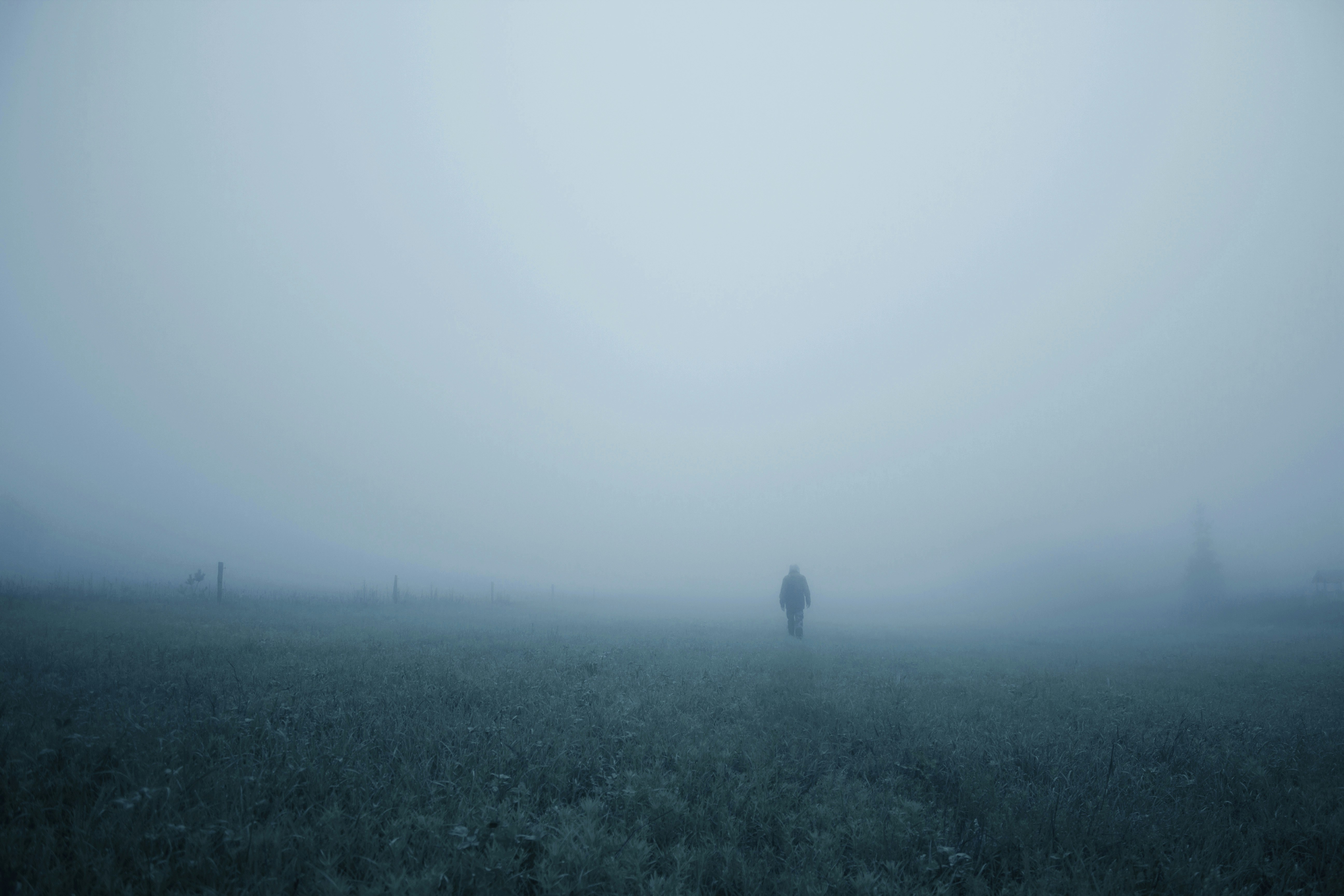 Free Unsplash photo from Davis Mitchell