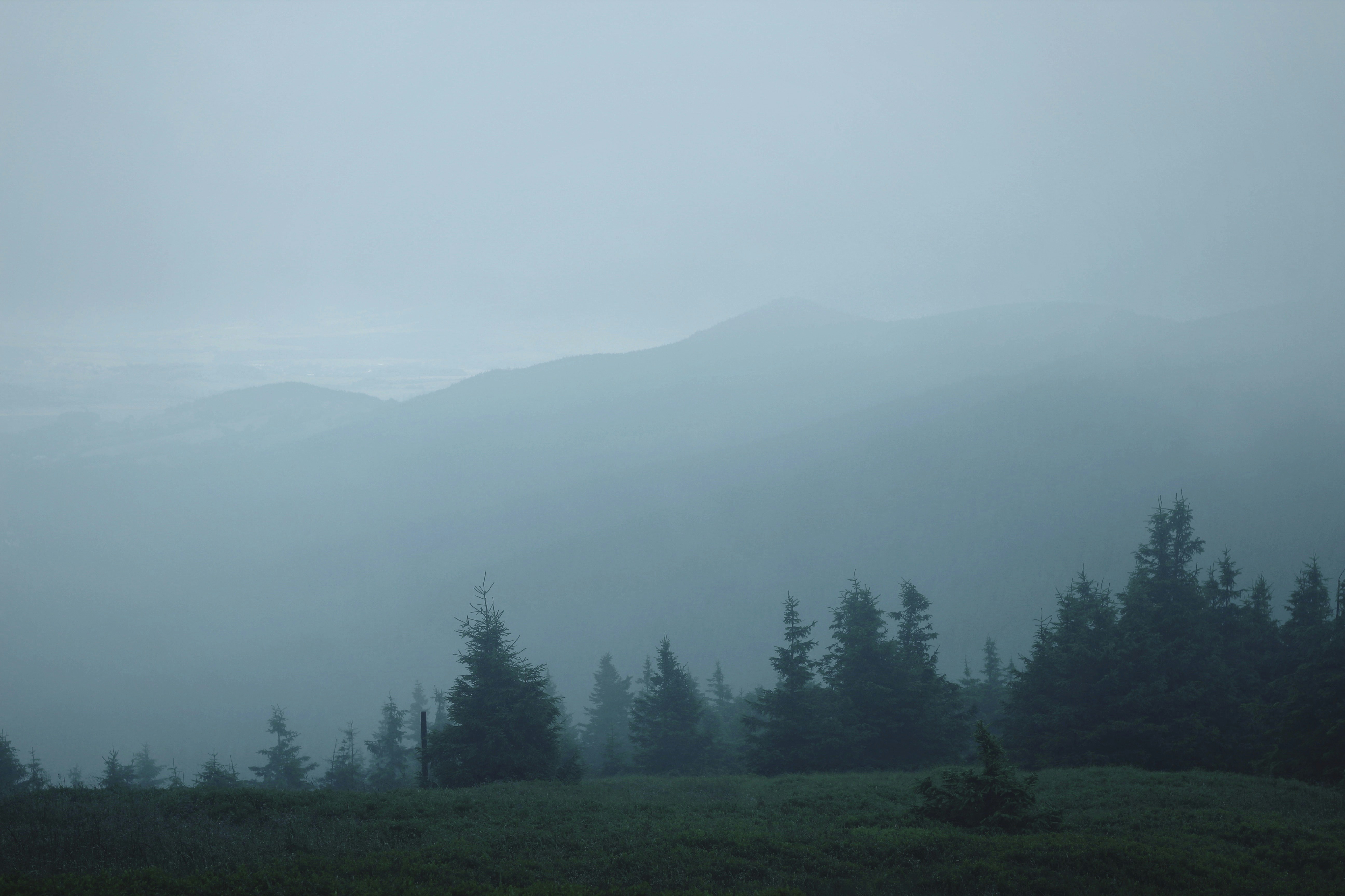 Free Unsplash photo from Davis Mitchell