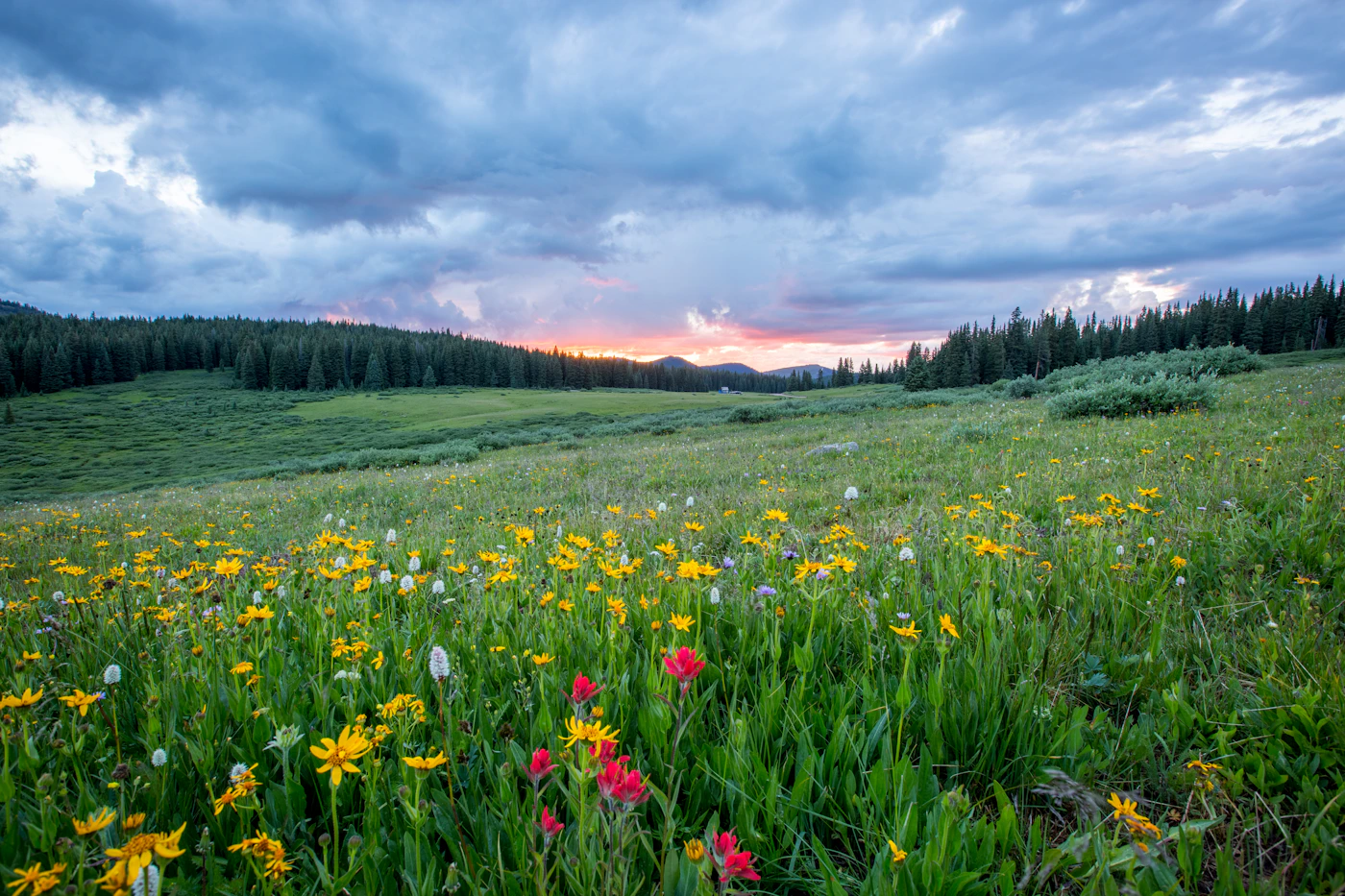 Sunset over rolling hills and hiking trail vista