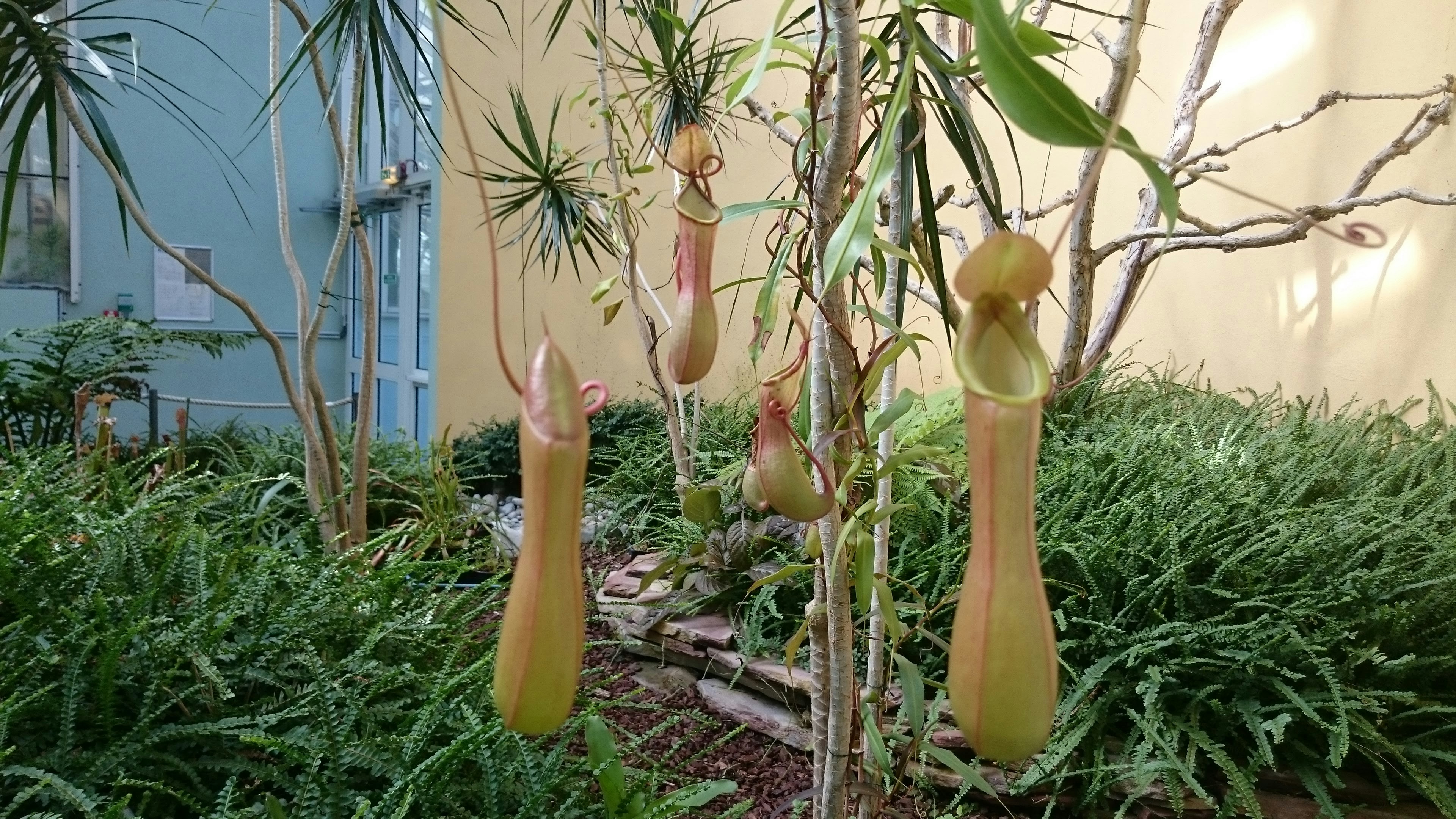 Free Unsplash photo from Eric