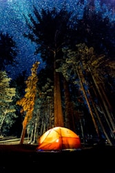 camping in forest during nightime