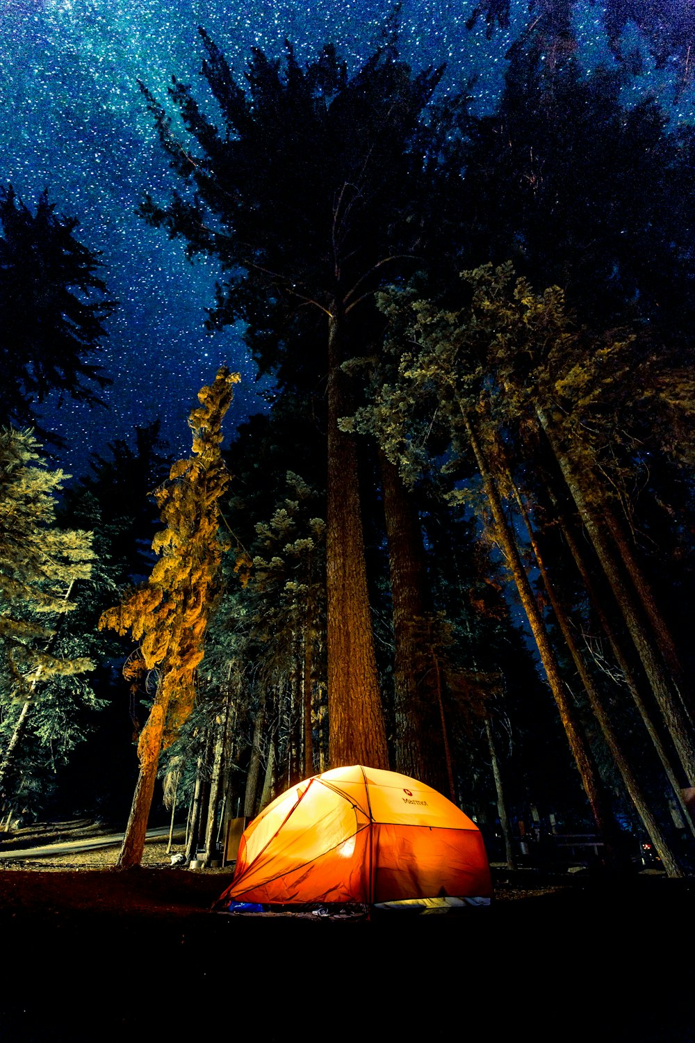 Nightime 동안 숲에서 캠핑하기