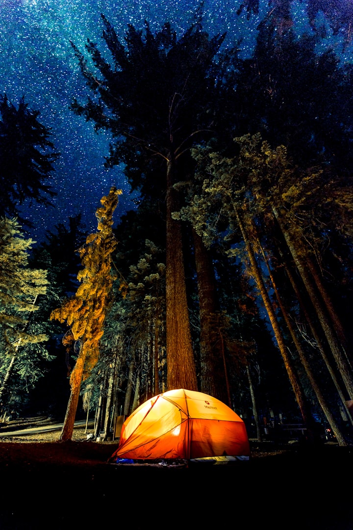 Fun in the tent