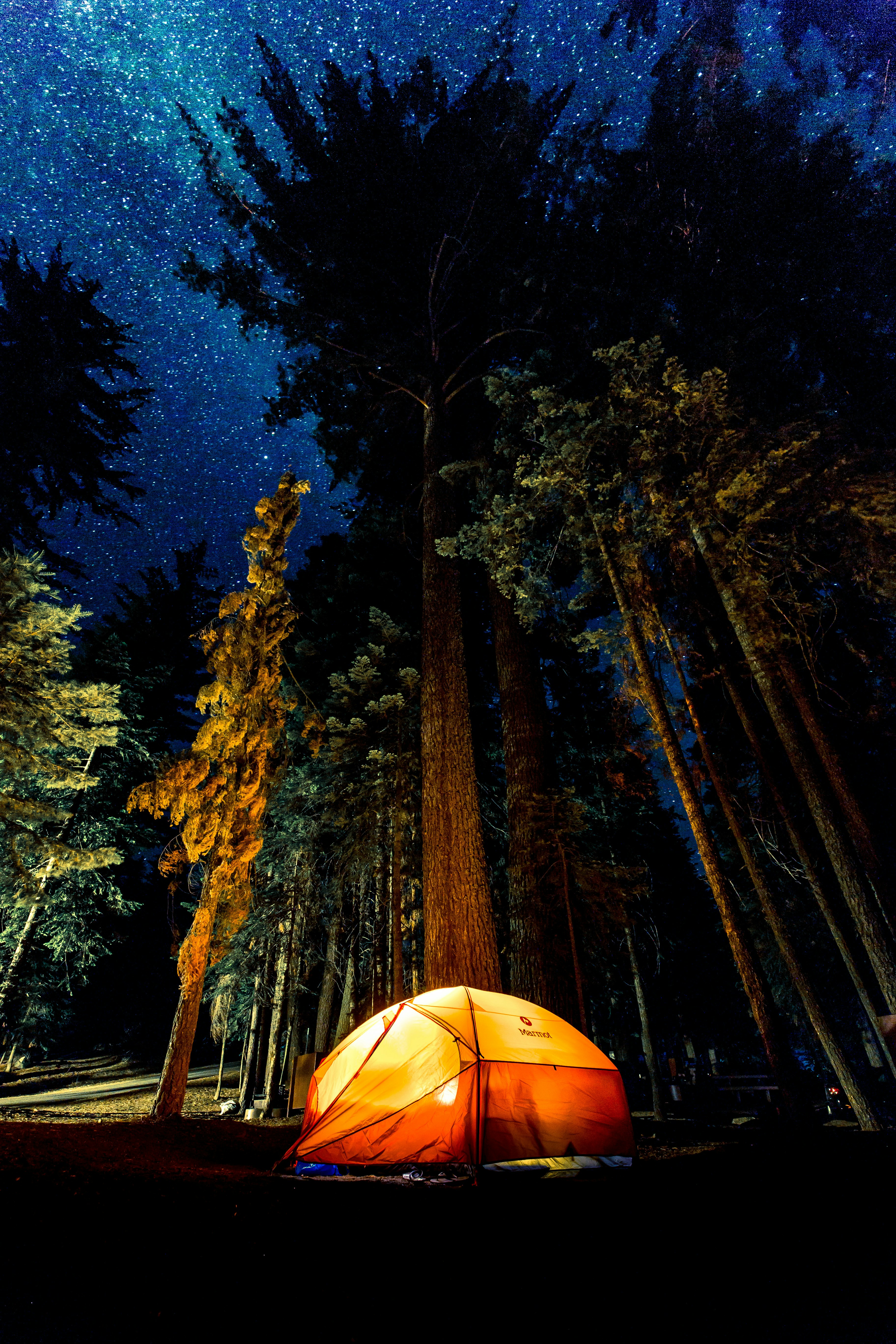 Crafting Your Homemade Camping Stove: A Step-by-Step Guide