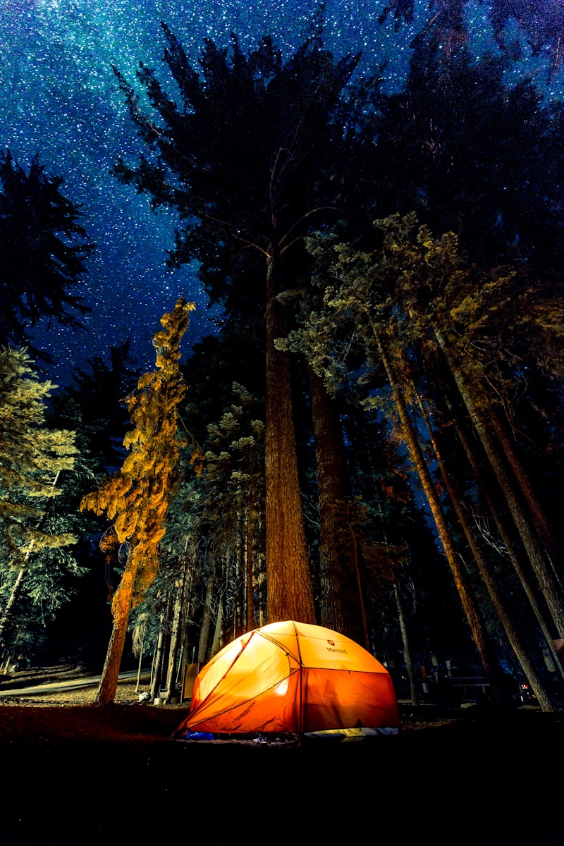 How to Find Free Dispersed Camping: A Step-by-Step Guide