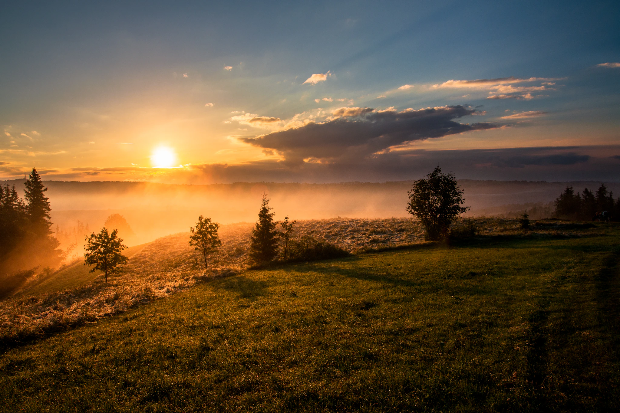 Nature Landscape Series