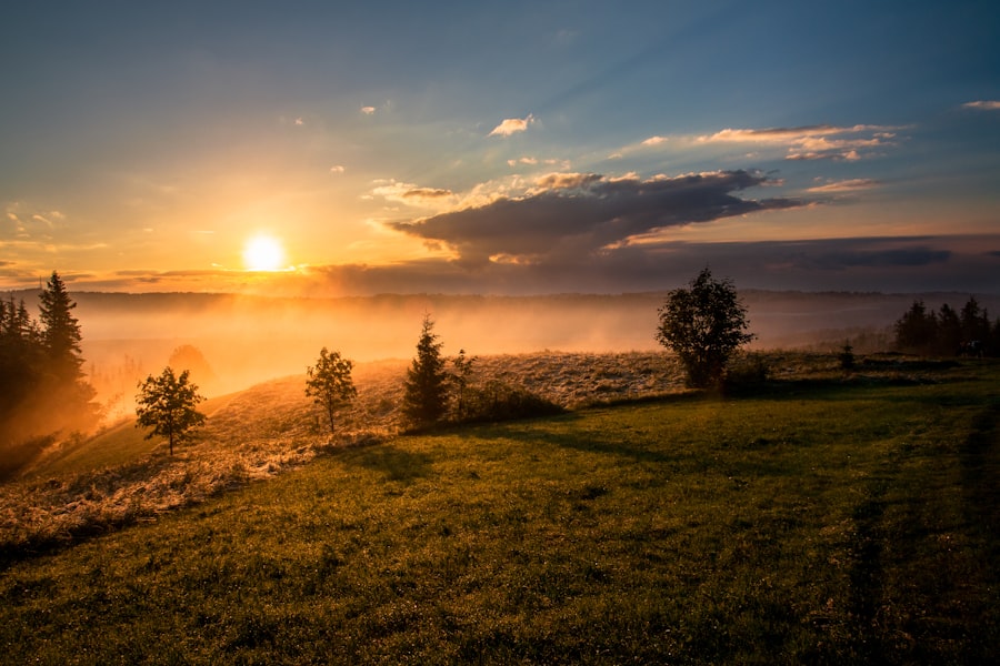 Golden sunlight streaming through trees in a warm, peaceful landscape