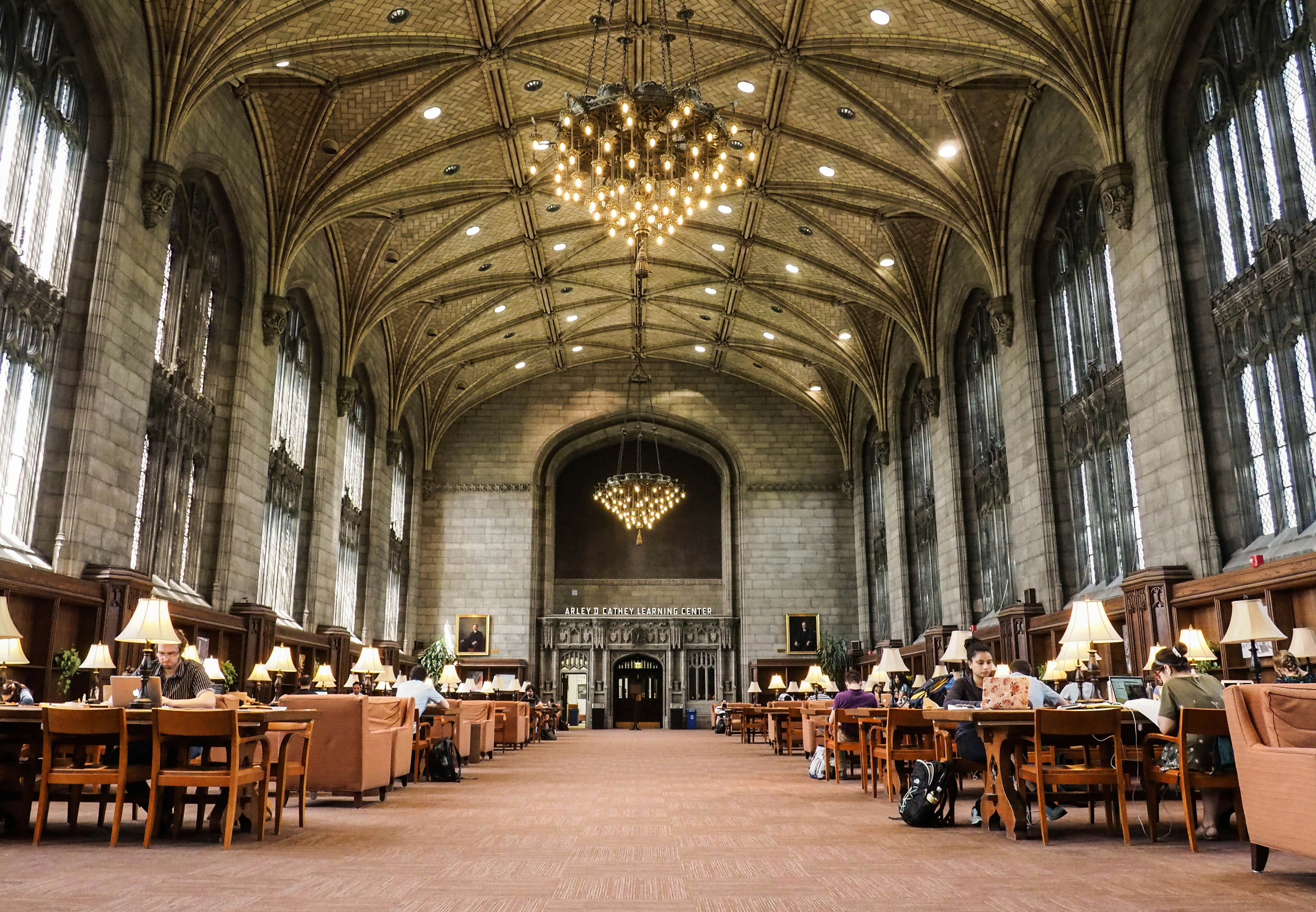 Free Unsplash photo from Devon Hernandez