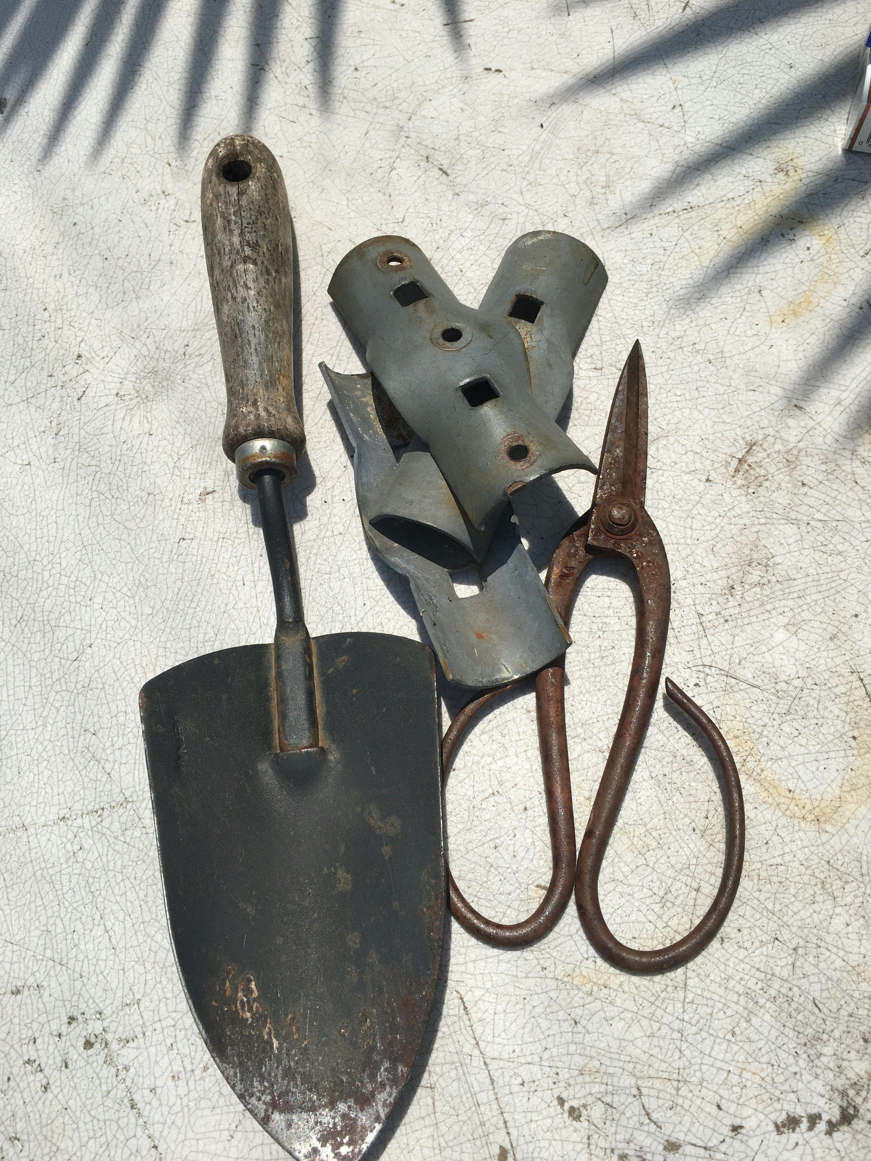 5 Must-Have Spring Garden Gadgets for Your Garden Success