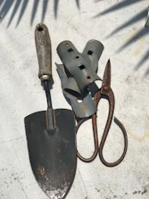 A set of clean, sharpened garden tools lined up on a wooden table.