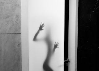 shadow of person against white panel glass door