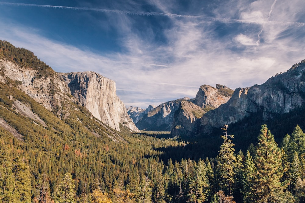 mountain covered with tree under white clouds