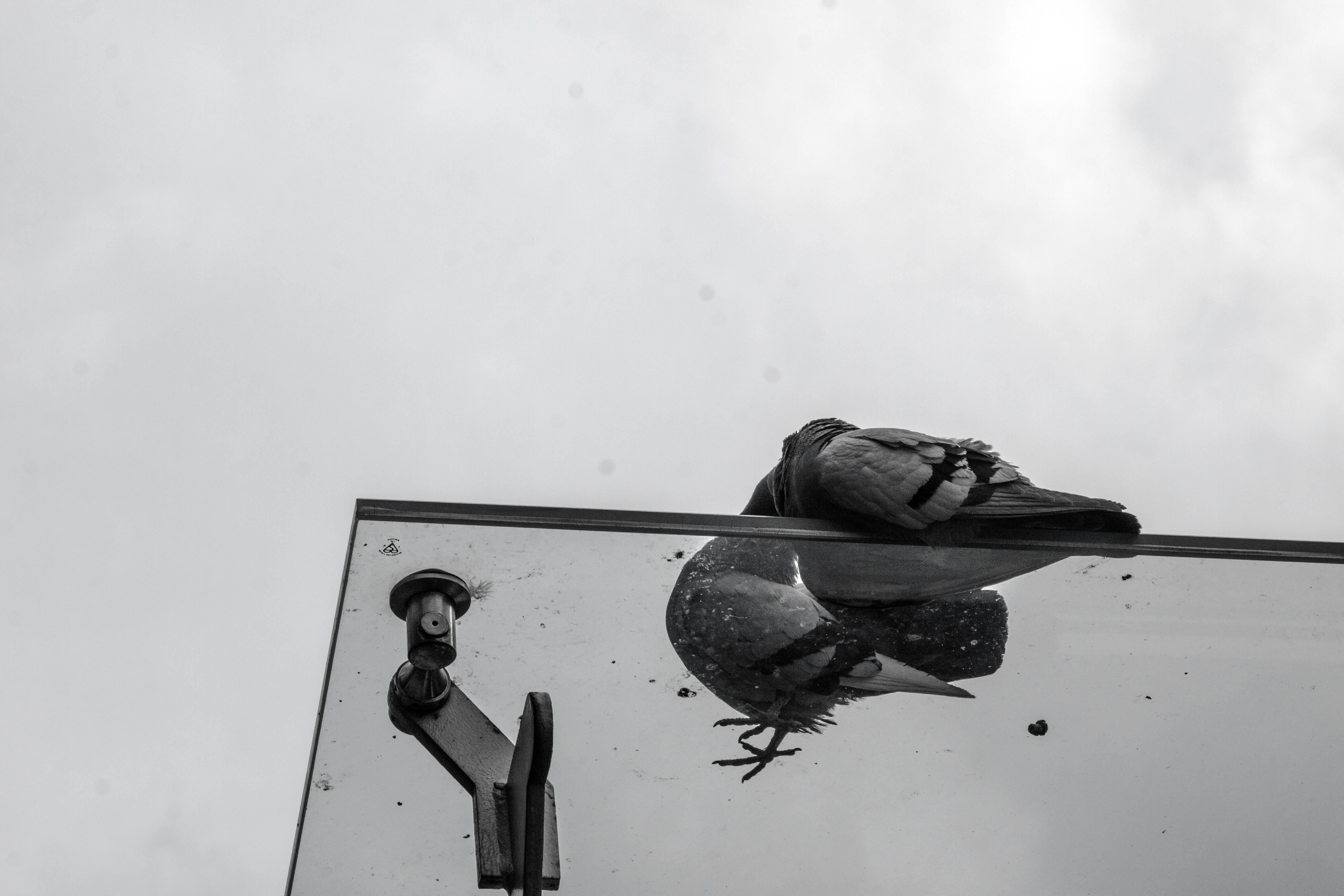 Free Unsplash photo from Aleksandr Rogozin