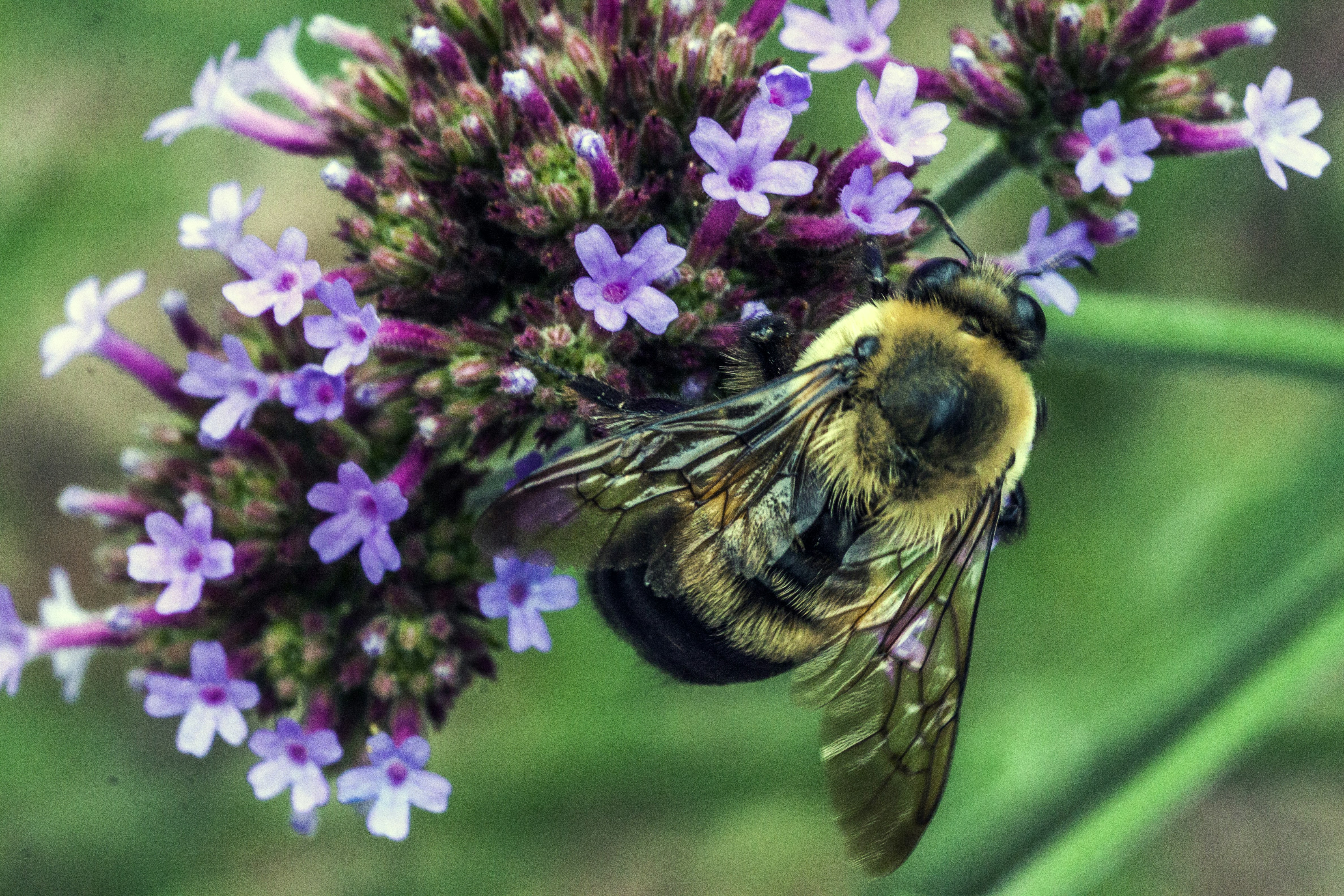 Free Unsplash photo from Aleksandr Rogozin