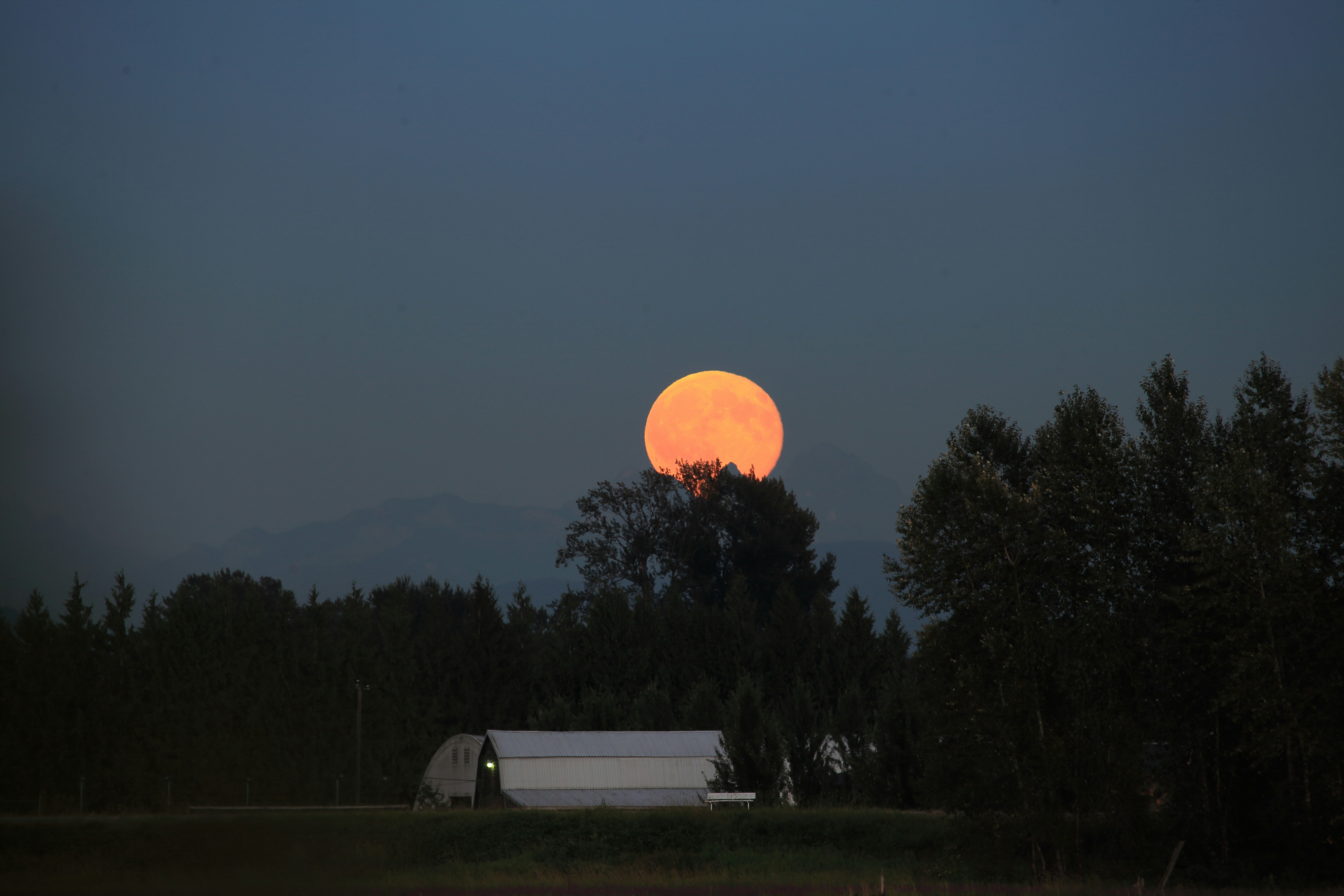 Free Unsplash photo from Phil Mony