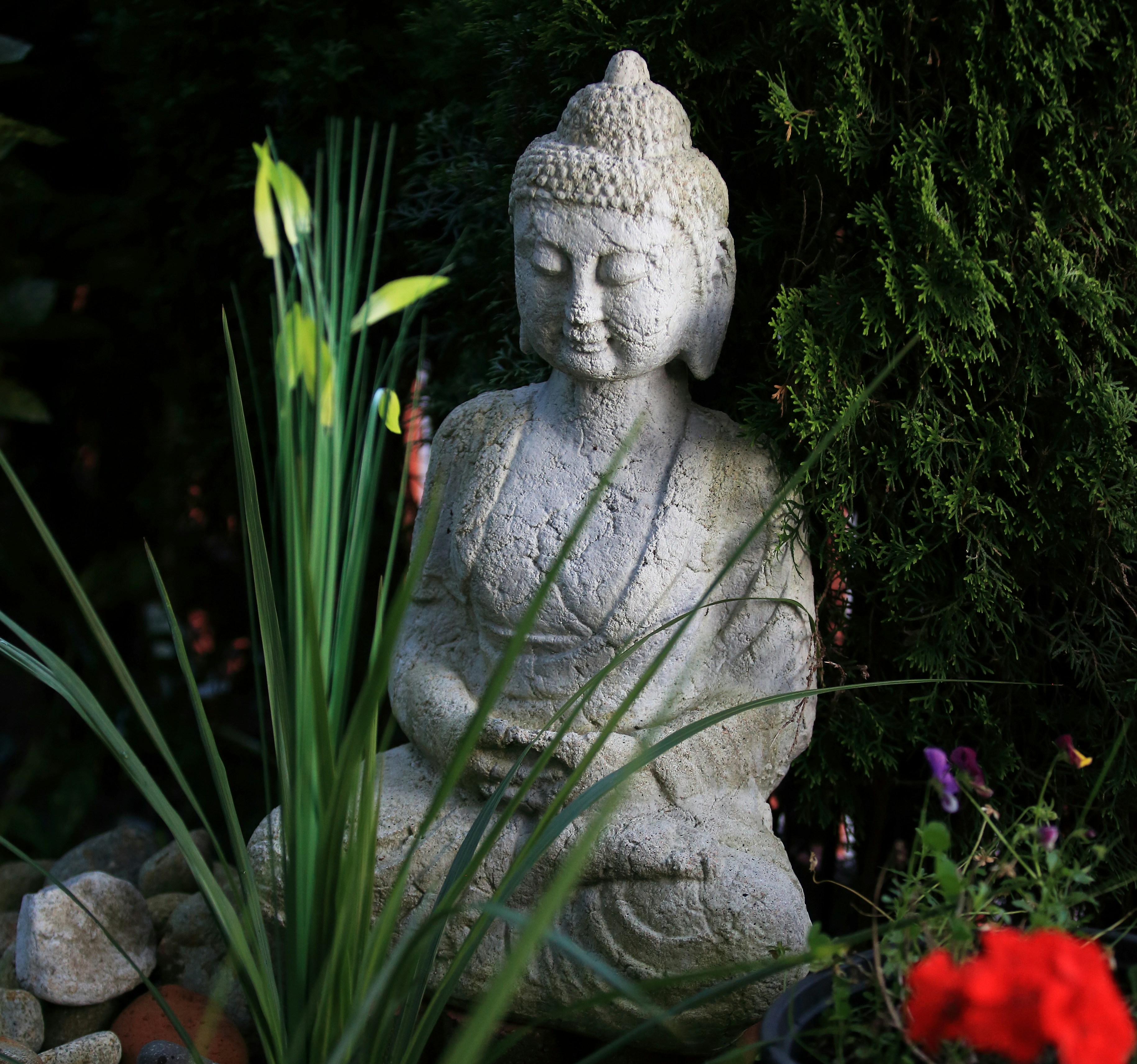 Free Unsplash photo from Phil Mony