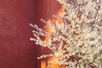 A welcoming workspace with a cherry blossom branch in a vase, soft natural light streaming in.