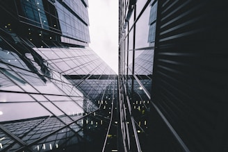 architectural photography of glass building