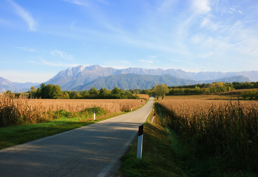 road with grass land,