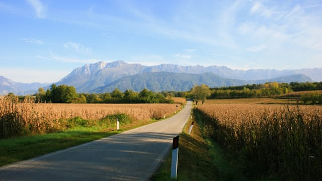 Straßenrand