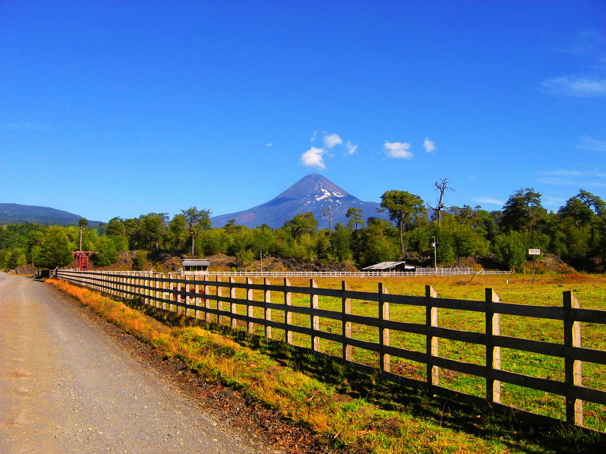 Free Unsplash photo from Marcelo Hernán Arre Márfull