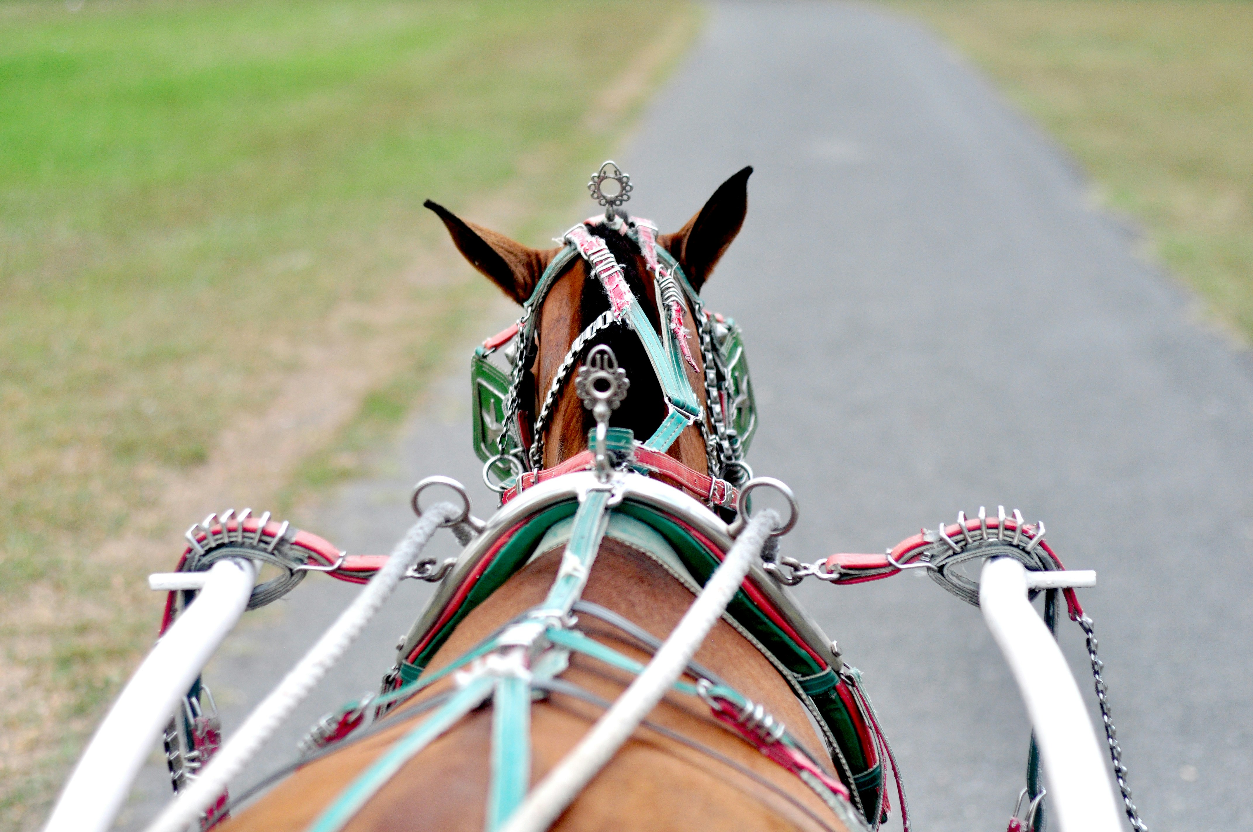 Free Unsplash photo from Lavinia Arances