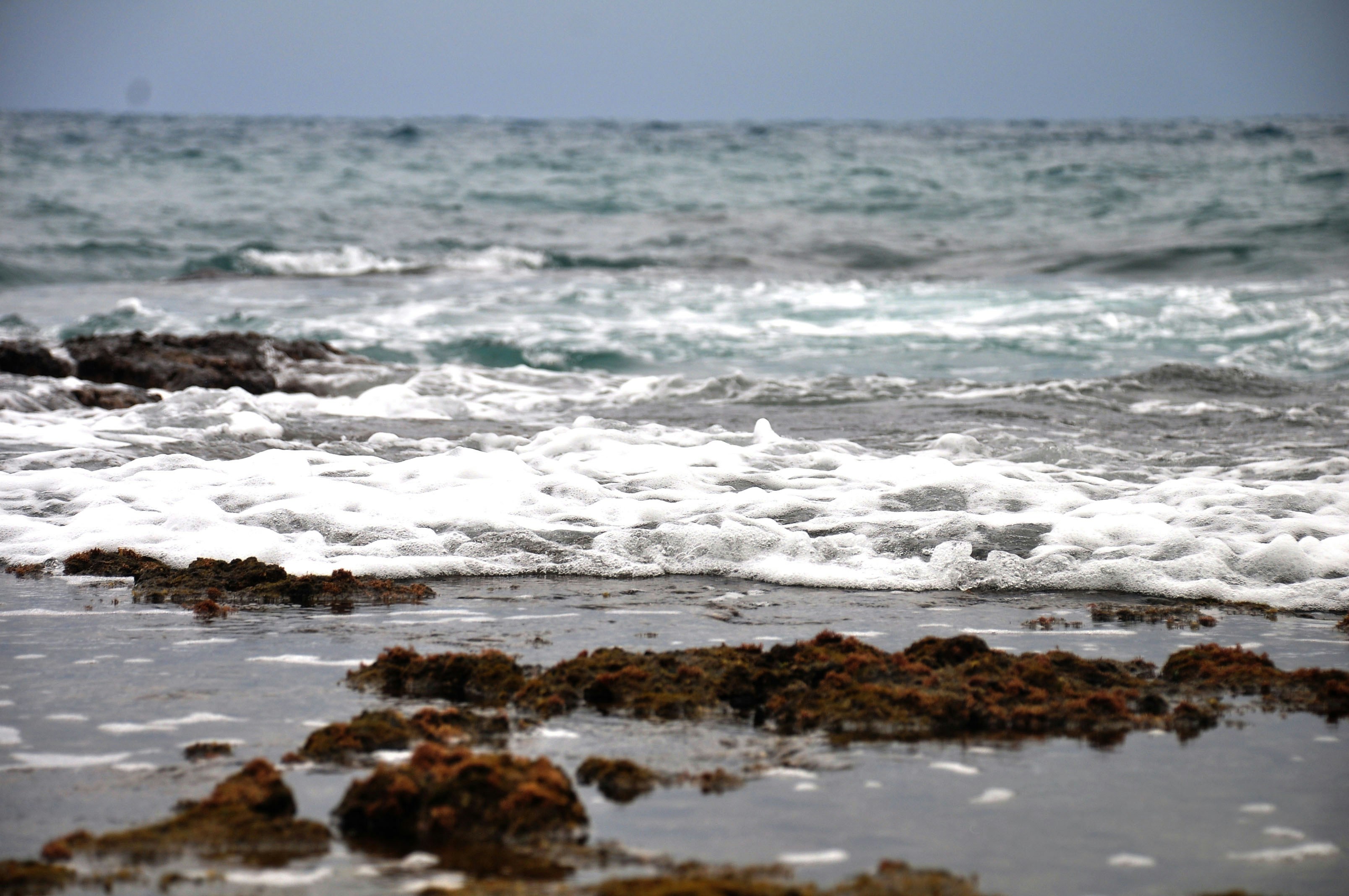 Free Unsplash photo from Lavinia Arances