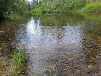 A serene riverside scene with a beginner happily panning for gold in shallow water.