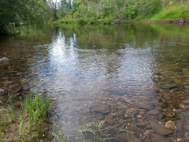 A serene riverside scene with a beginner happily panning for gold in shallow water.