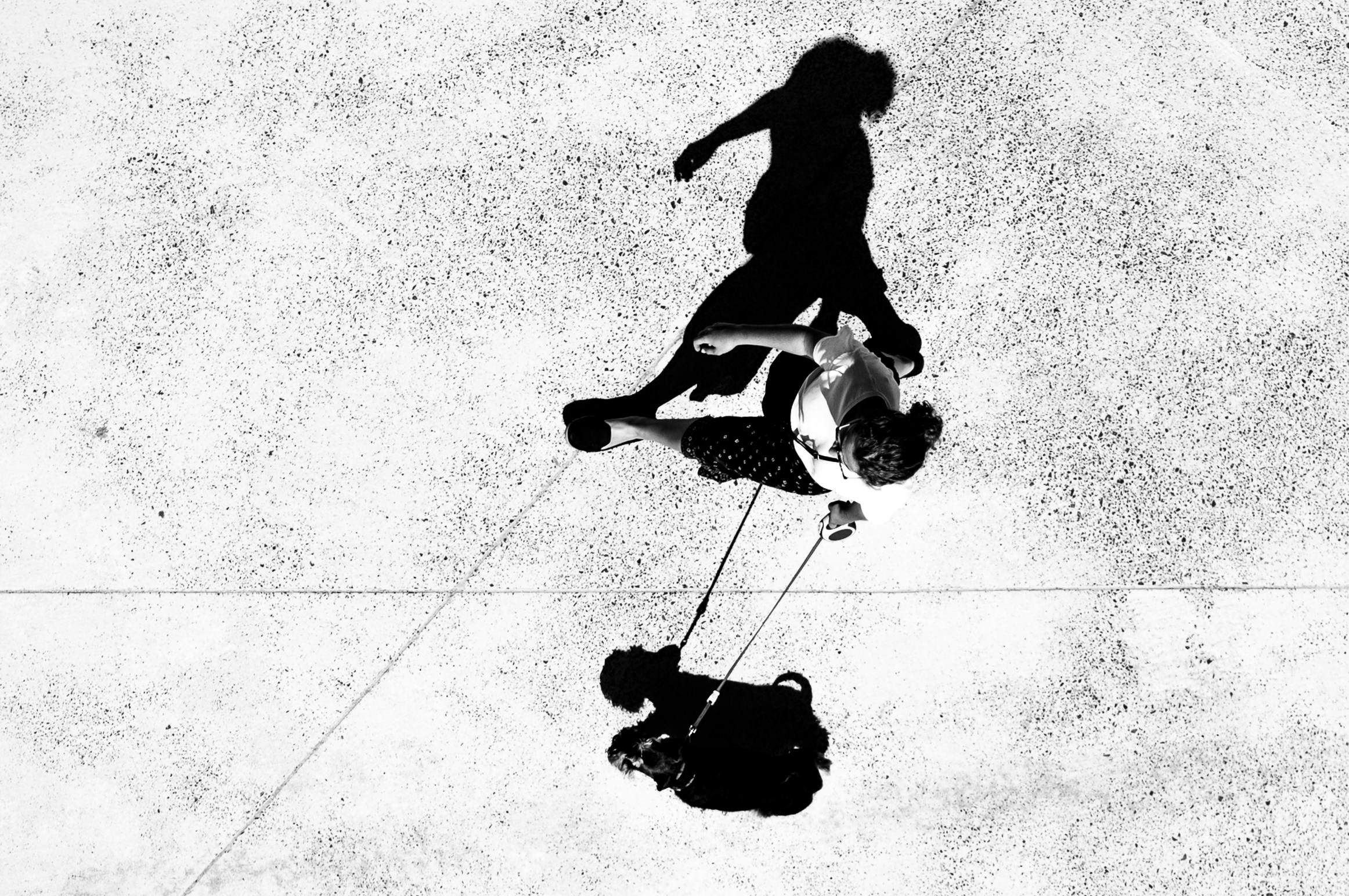 Free Unsplash photo from Andrzej Grygiel